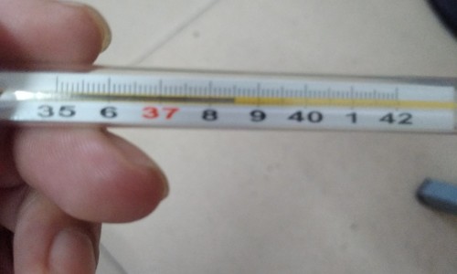 als病用什么药来治疗-权威als病人能活多久平台,分享专业als能治好吗知识_als病人可以解冻吗网